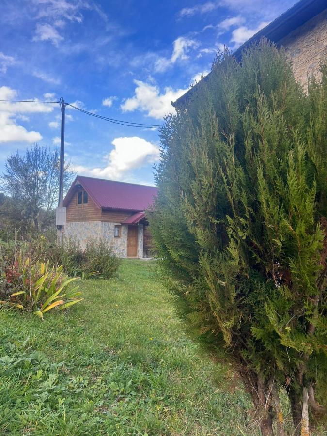 Vikendica Covic Villa Bijelo Polje Exterior foto